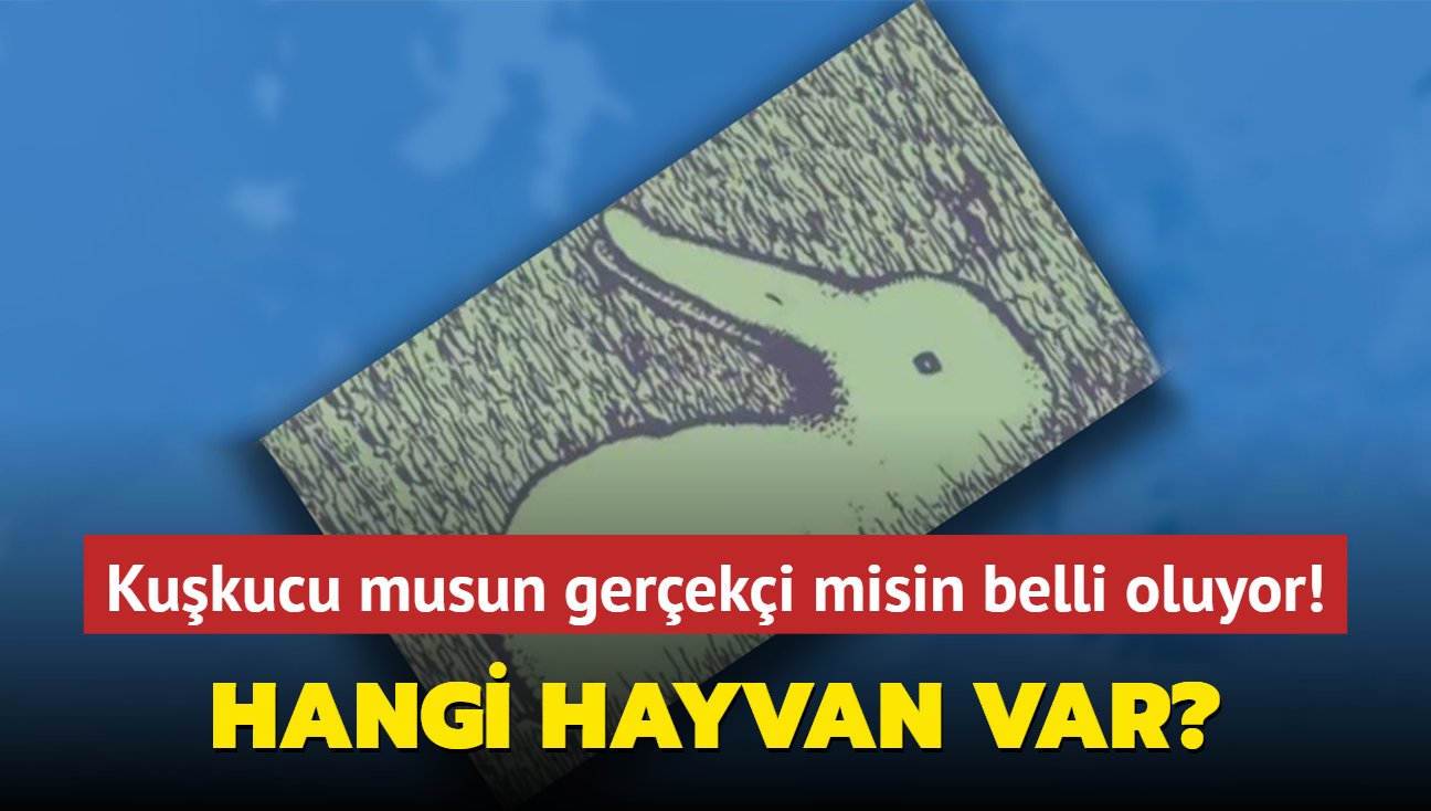 Kiilik testi: Grdnz ilk hayvan kukucu mu yoksa gereki mi olduunuzu ortaya karacak!