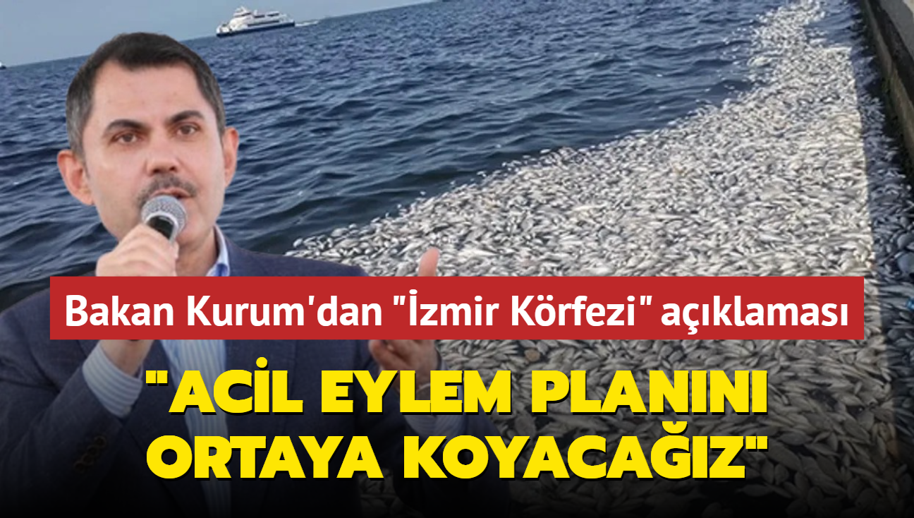 Bakan Kurum'dan zmir Krfezi aklamas: Acil eylem plann ortaya koyacaz