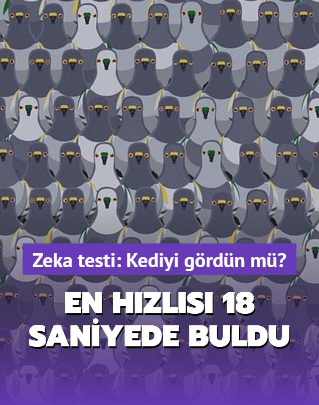 Zeka testi: Kediyi grdn m" En hzls 18 saniyede buldu