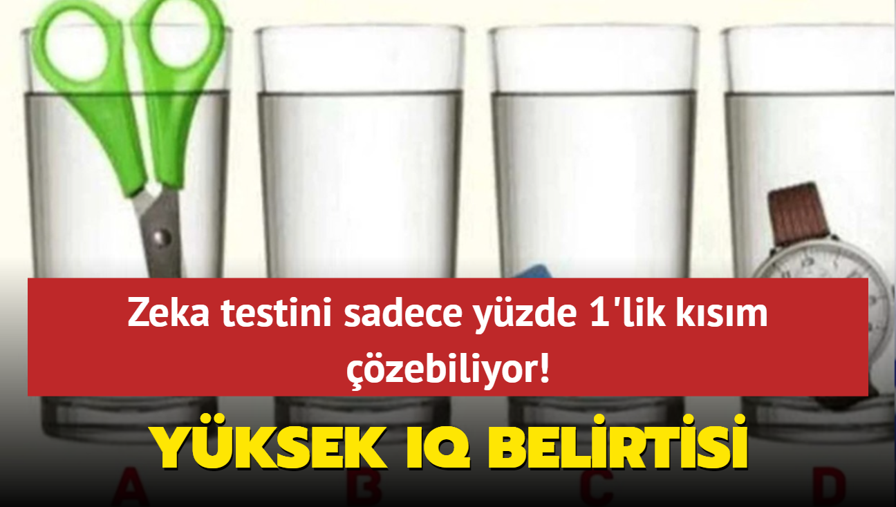 Zeka testini sadece yzde 1'lik ksm zebiliyor! Yksek IQ'l kiiler 8 saniyede sonuca varyor: Hangi bardakta su fazla"