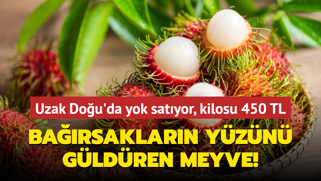 Barsaklarn yzn gldren meyve! Uzak Dou'da yok satyor, kilosu 450 TL