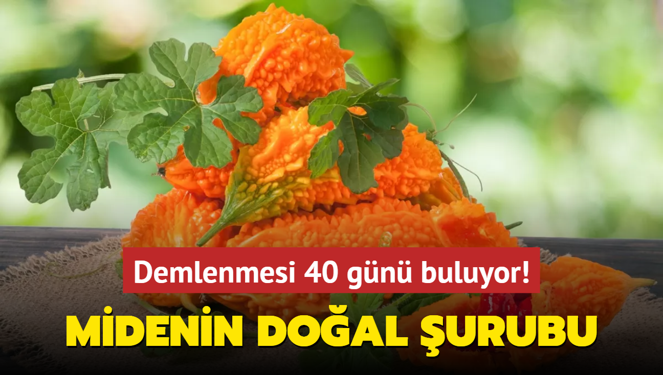 Midenin doal urubu! Demlenmesi 40 gn buluyor! Tad ac ifas tatl