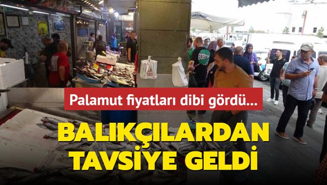 Palamut fiyatlar dibi grd... Balklardan tavsiye geldi