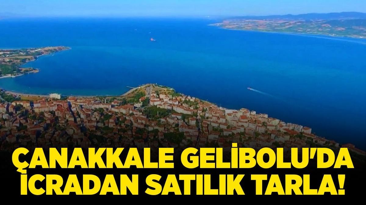 anakkale Gelibolu'da icradan satlk tarla!