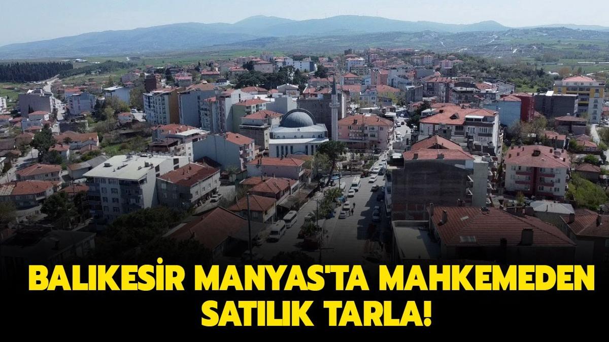 Balkesir Manyas'ta mahkemeden satlk tarla!