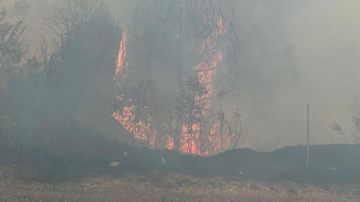 Bolu'daki orman yangn kontrol altnda