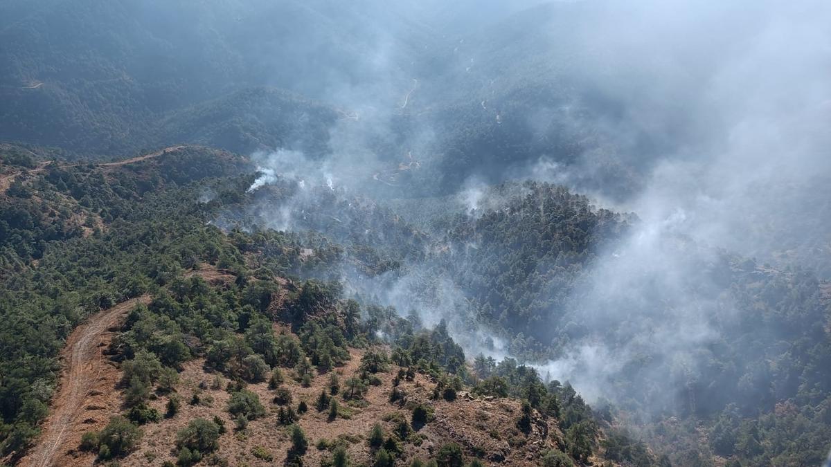 Hatay'daki orman yangn kontrol altnda!