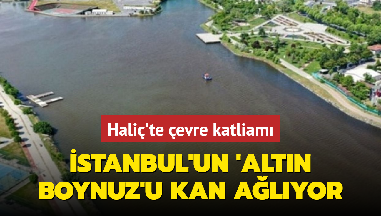 stanbul'un 'Altn Boynuz'u kan alyor... Hali'te evre katliam