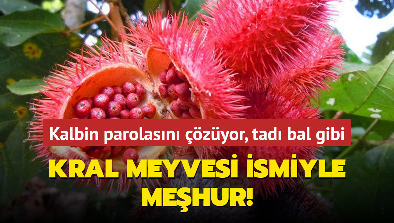 Kral meyvesi ismiyle mehur! Kalbin parolasn zyor, tad bal gibi