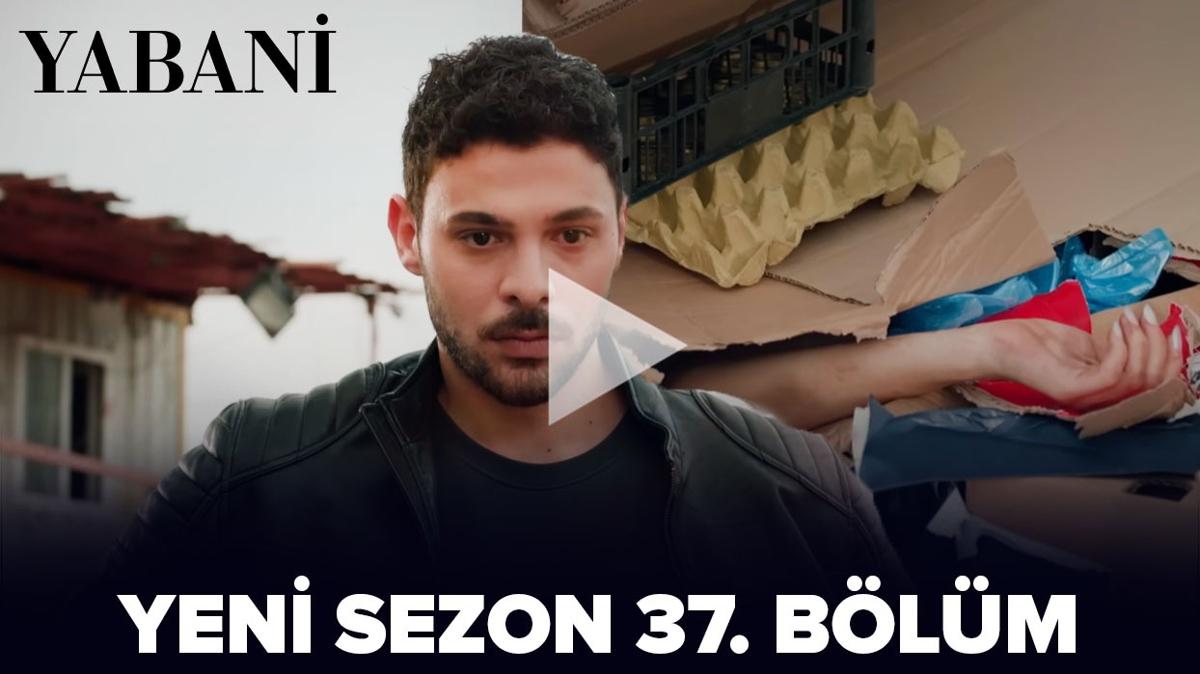 Yabani yeni sezon 37. Blm izle tek para! Yabani 37. blm full izle!