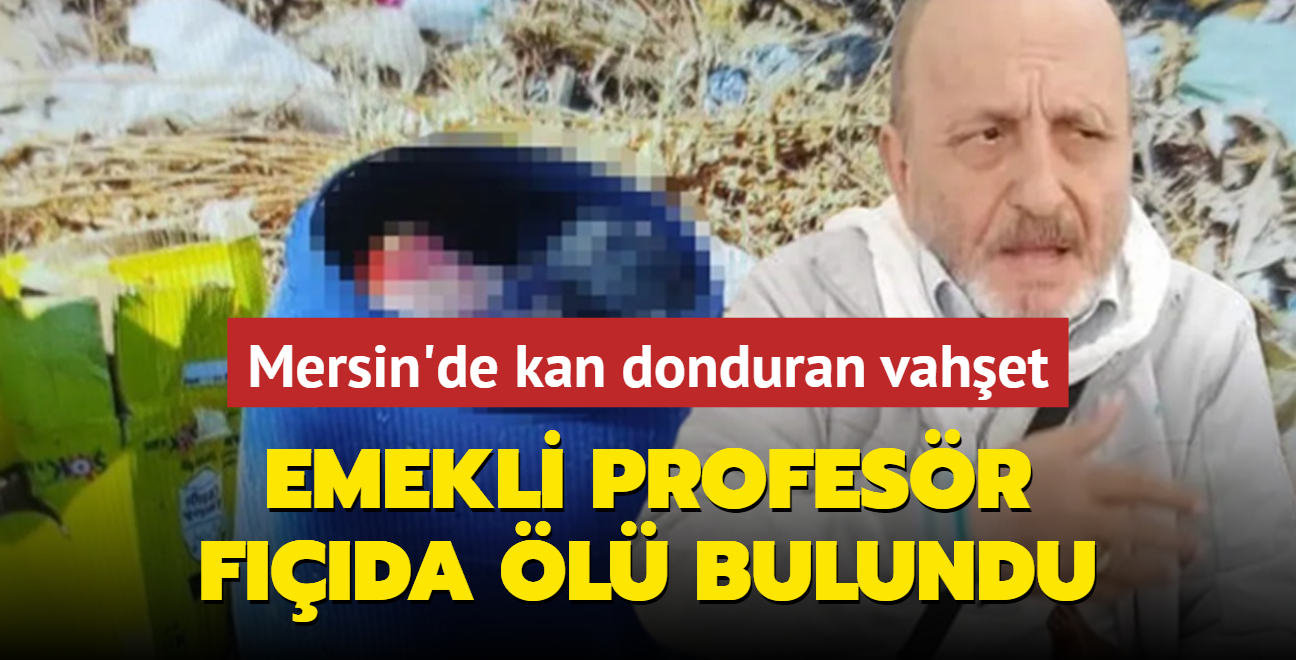 Mersin'de kan donduran vahet: Emekli profesr fda l bulundu