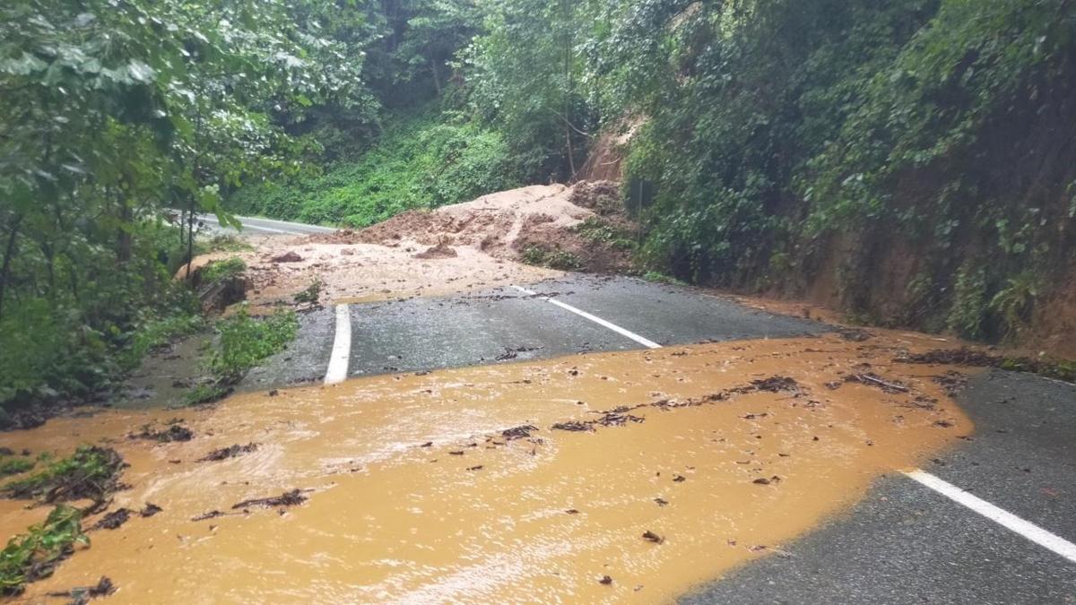 Artvin'de saanak hayat olumsuz etkiledi