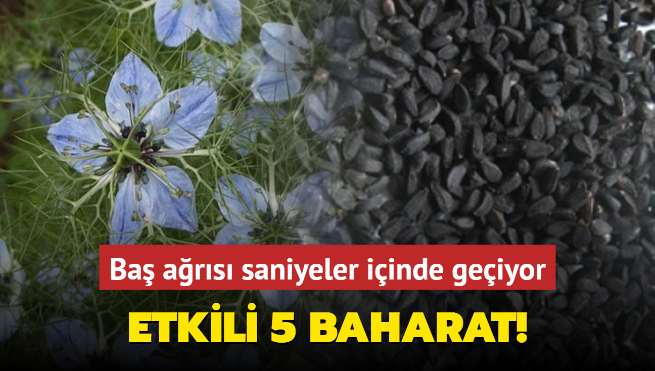 Su imek kadar etkili 5 baharat! Ba dnmesi ve ba ars saniyeler iinde geiyor