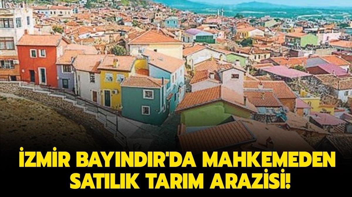 zmir Bayndr'da mahkemeden satlk tarm arazisi!