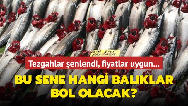 Tezgahlar enlendi, fiyatlar uygun: Bu sene hangi balklar bol olacak?