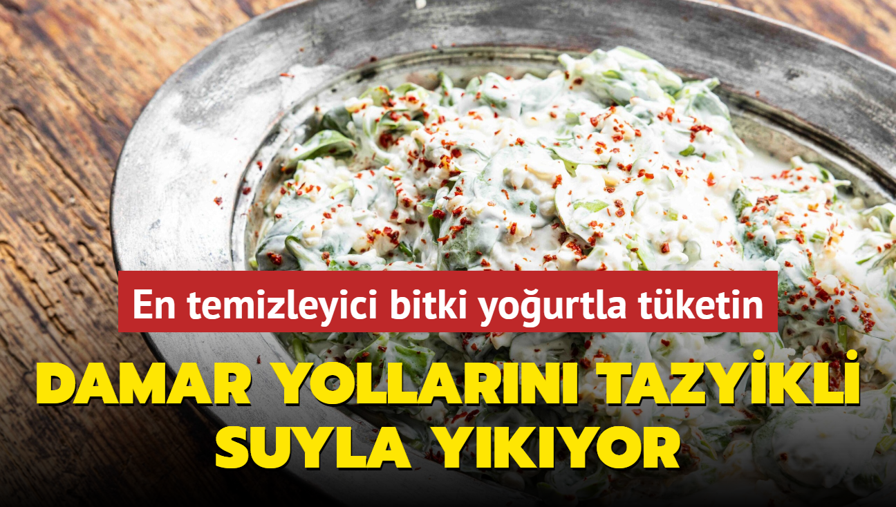 Damar yollarn tazyikli suyla ykyor! En temizleyici bitki yourtla tketin