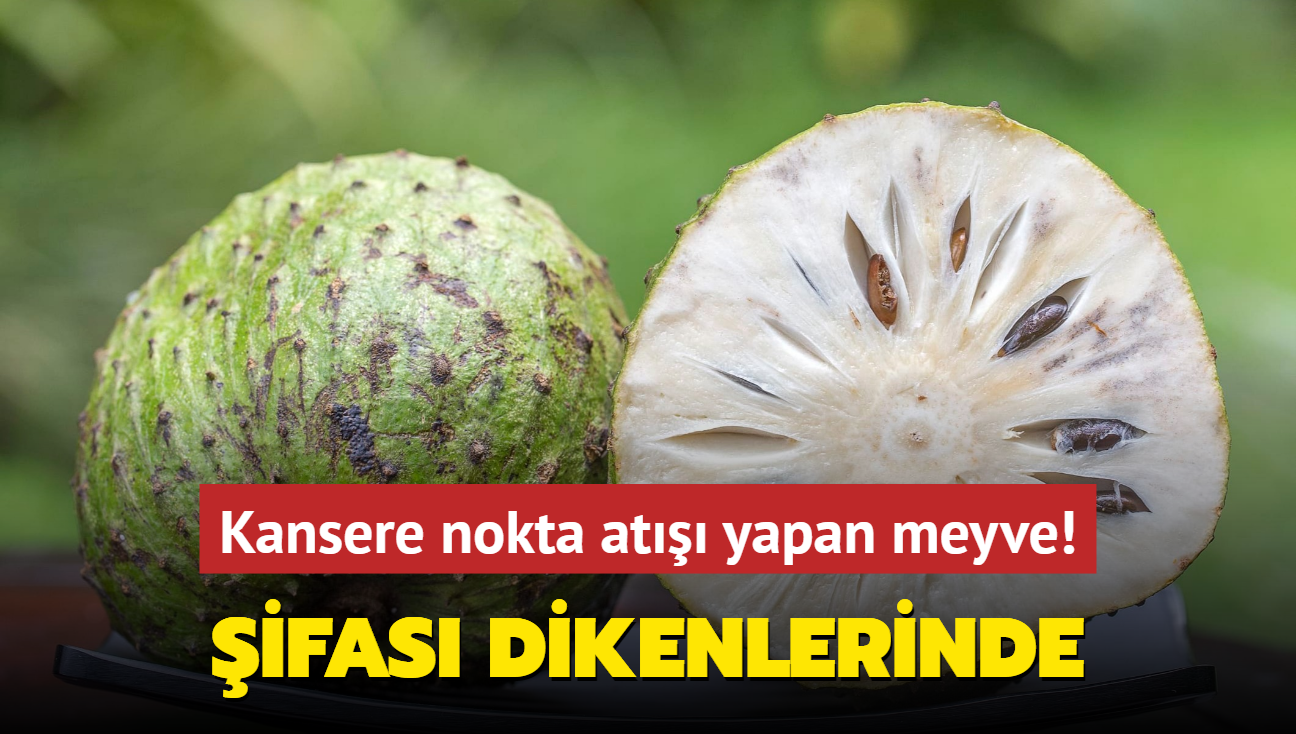 Kansere nokta at yapan meyve! ifas dikenlerinde ay tansiyona iyi geliyor