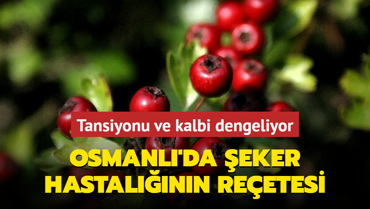 Osmanl'da eker hastalnn reetesi bu meyve! Tansiyonu ve kalbi dengeliyor