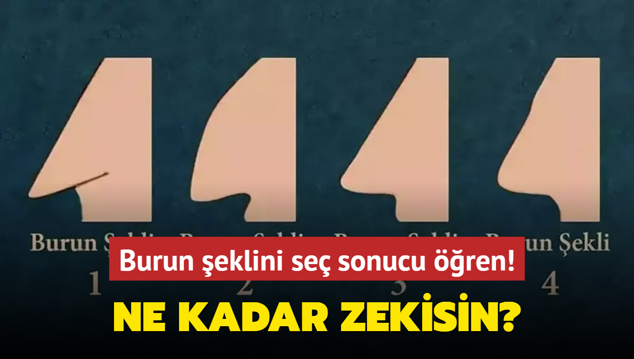 artan kiilik testi: Ne kadar zekisin ortaya kyor! Burun eklini se sonucu ren