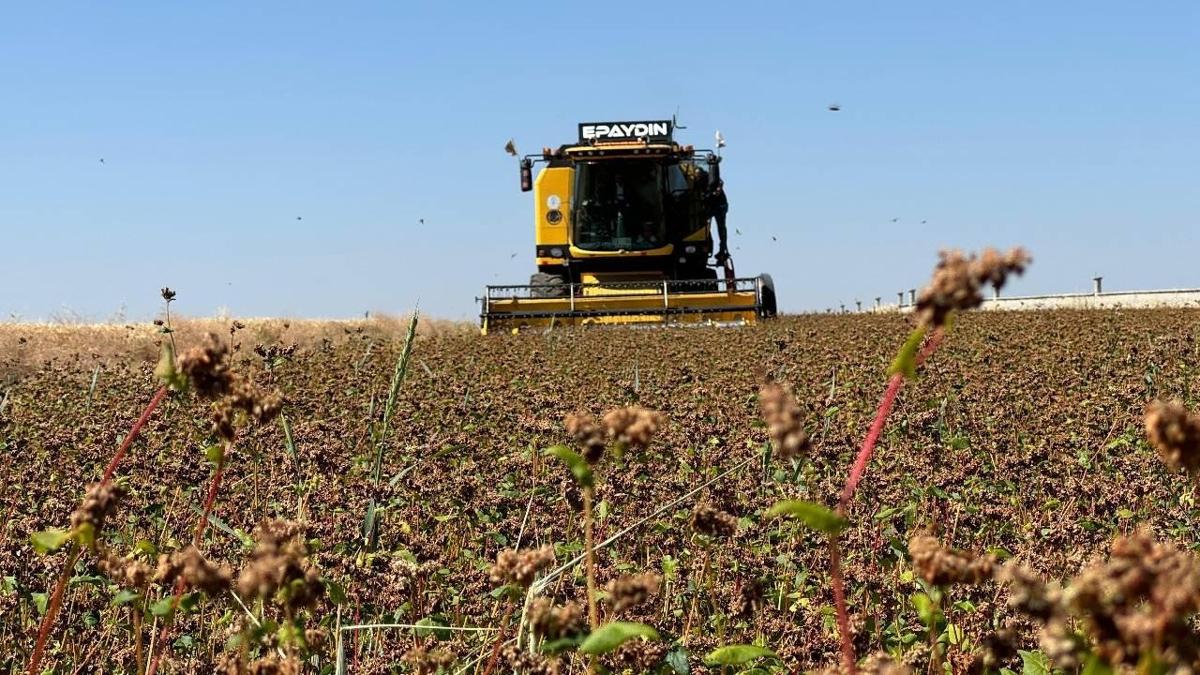 2 milyar liralk tarmsal destekleme demeleri hesaplara yatacak