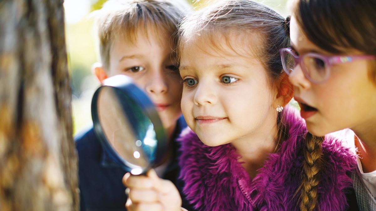 Montessori'ye gre geliim evreleri