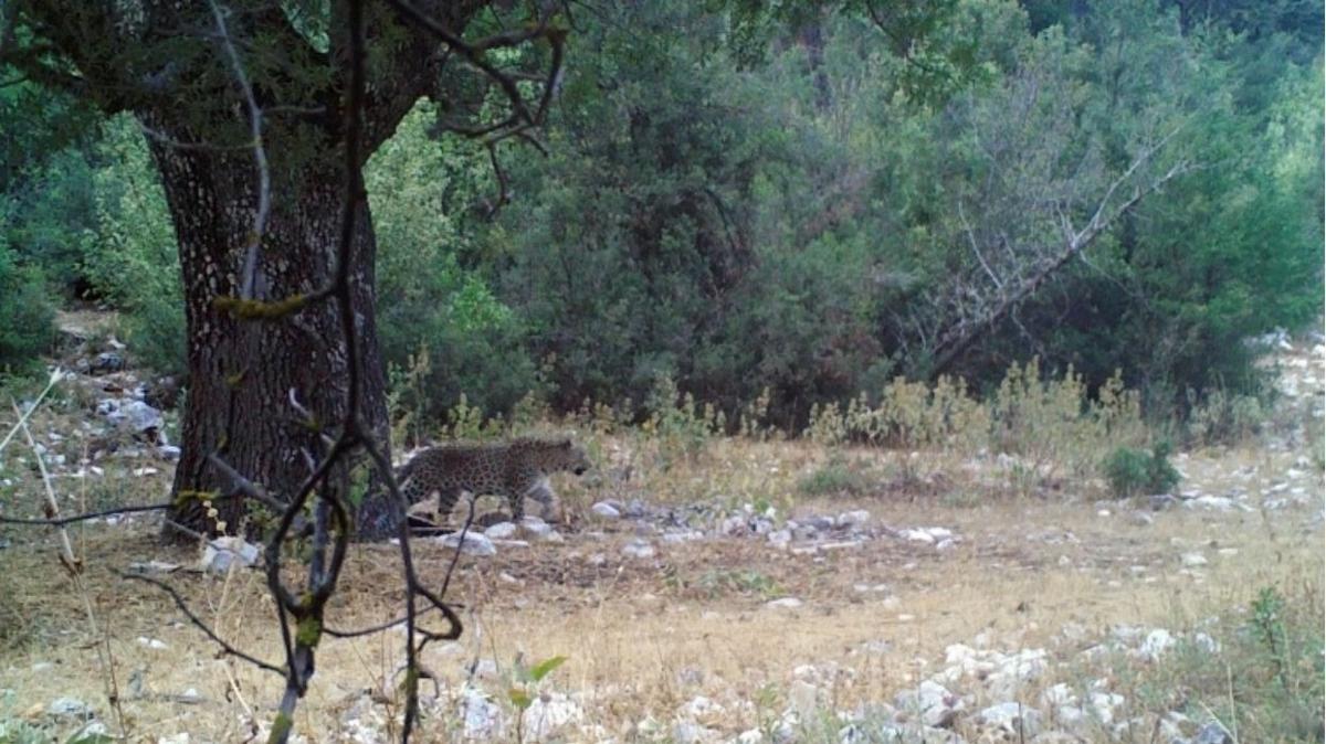 Anadolu pars bir kez daha grntlendi