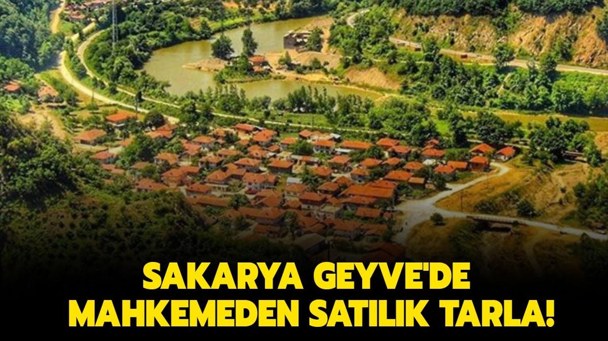 Sakarya Geyve'de mahkemeden satlk tarla!