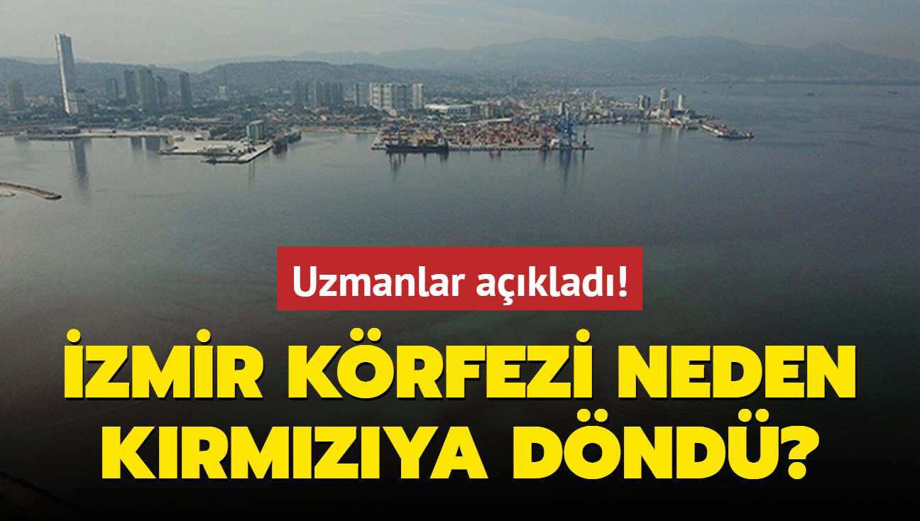 Uzmanlar aklad! zmir Krfezi neden krmzya dnd"