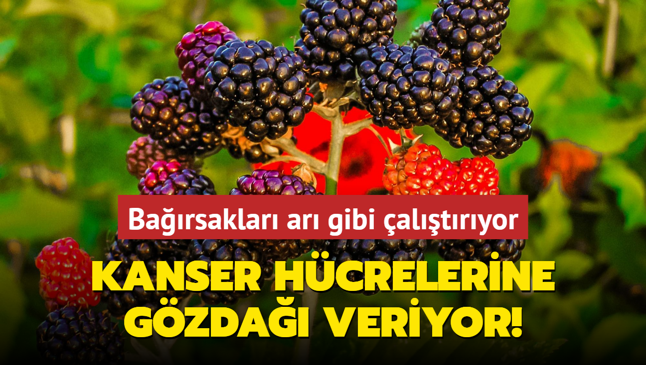 Kanser hcrelerine gzda veriyor! Barsaklar ar gibi altryor, mevsiminde tketmeyen ok ey kaybediyor