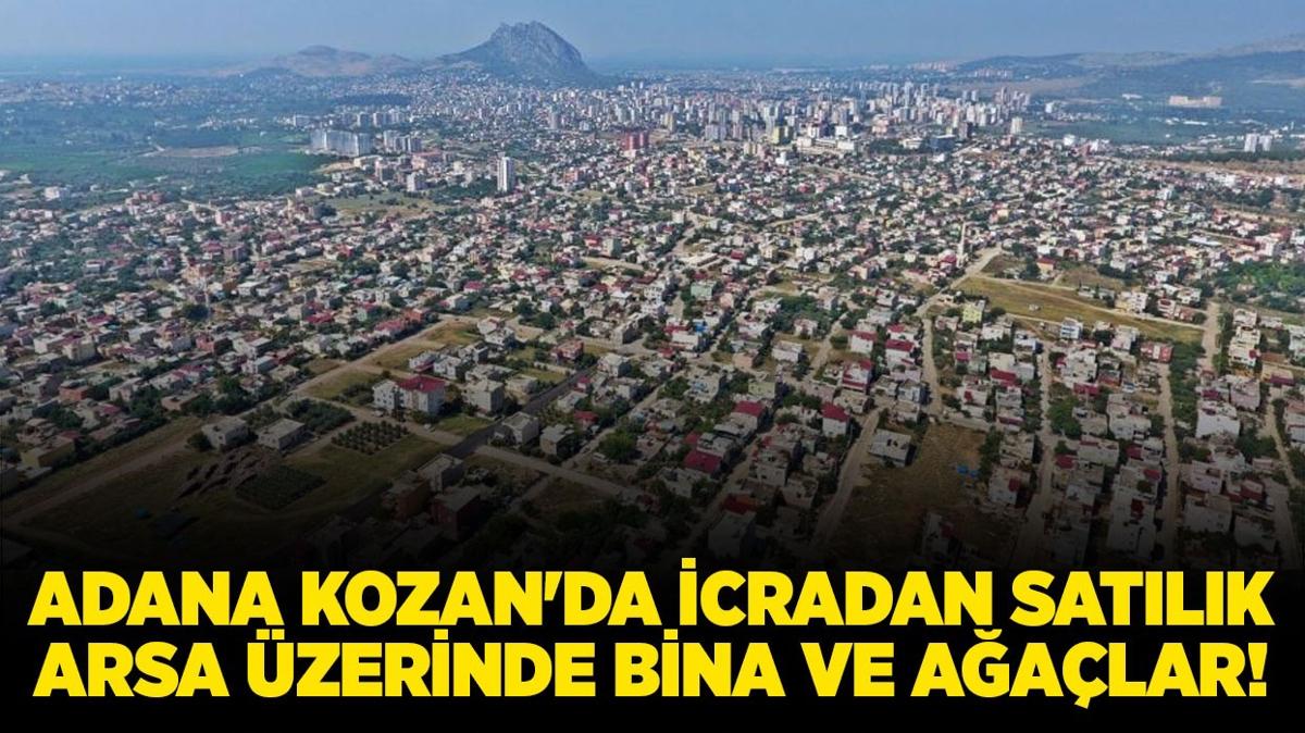 Adana Kozan'da icradan satlk arsa zerinde bina ve aalar!