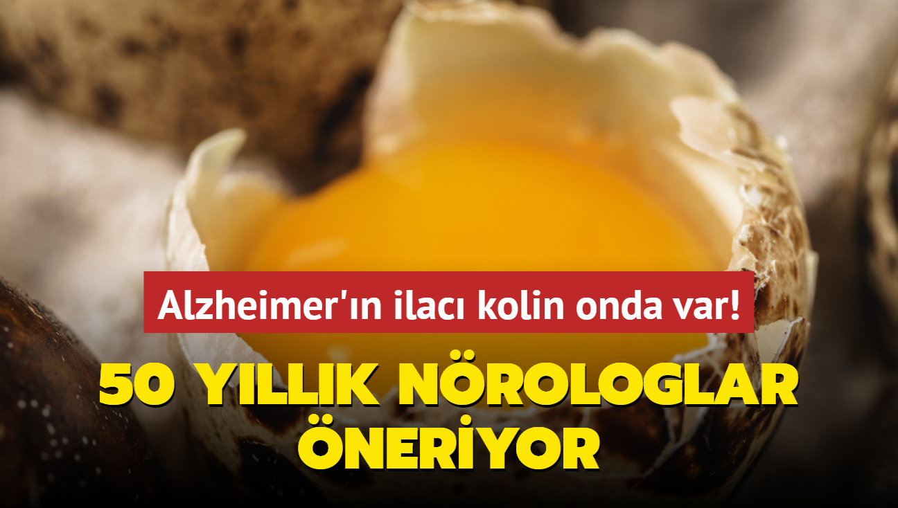 Alzheimer'n ilac kolin onda var! Tek besinlik reete: 50 yllk nrologlar neriyor