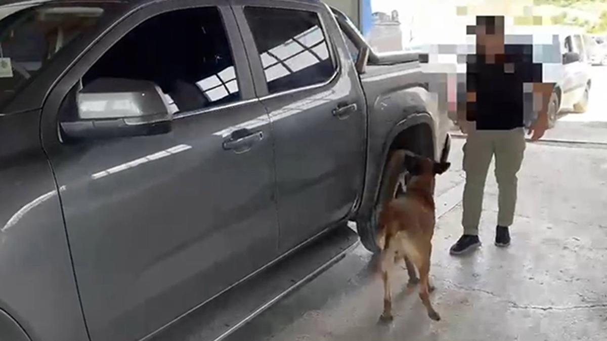 Uyuturucu tacirlerine 'Hektor' darbesi: 3 gzalt