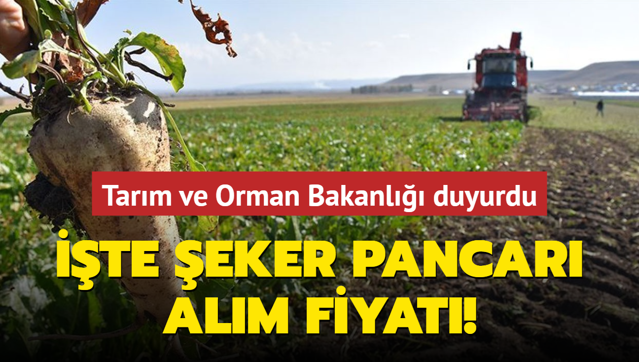 Tarm ve Orman Bakanl duyurdu... te eker pancar alm fiyat! 