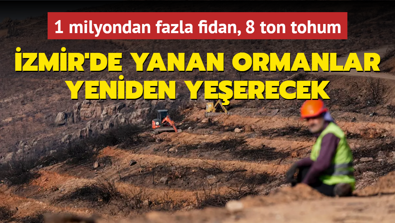 zmir'de yanan ormanlar ekilen fidanlarla yeniden yeerecek