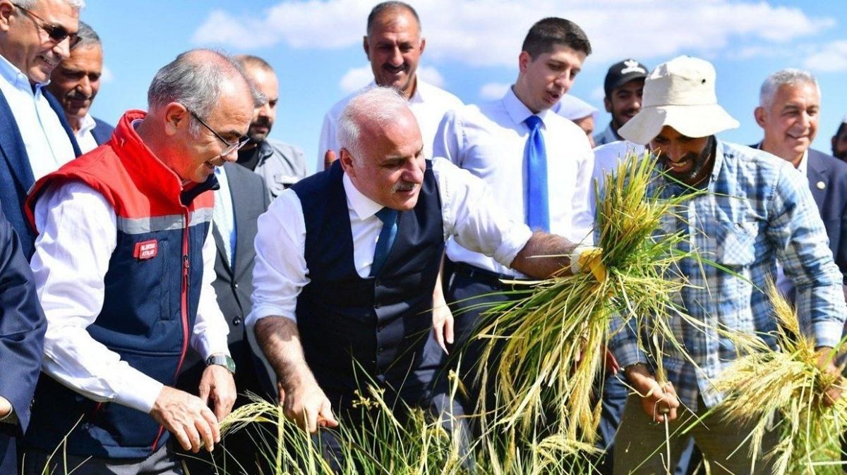 karacada diyarbakr pirin fotoraflar resimleri