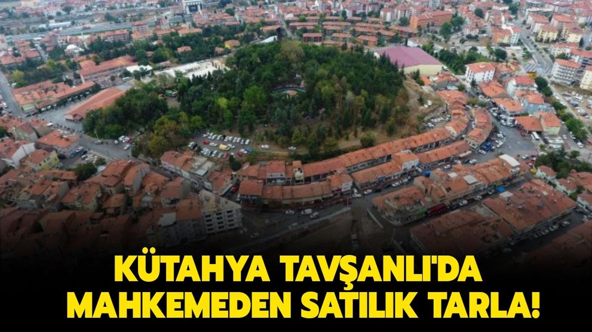Ktahya Tavanl'da mahkemeden satlk tarla!