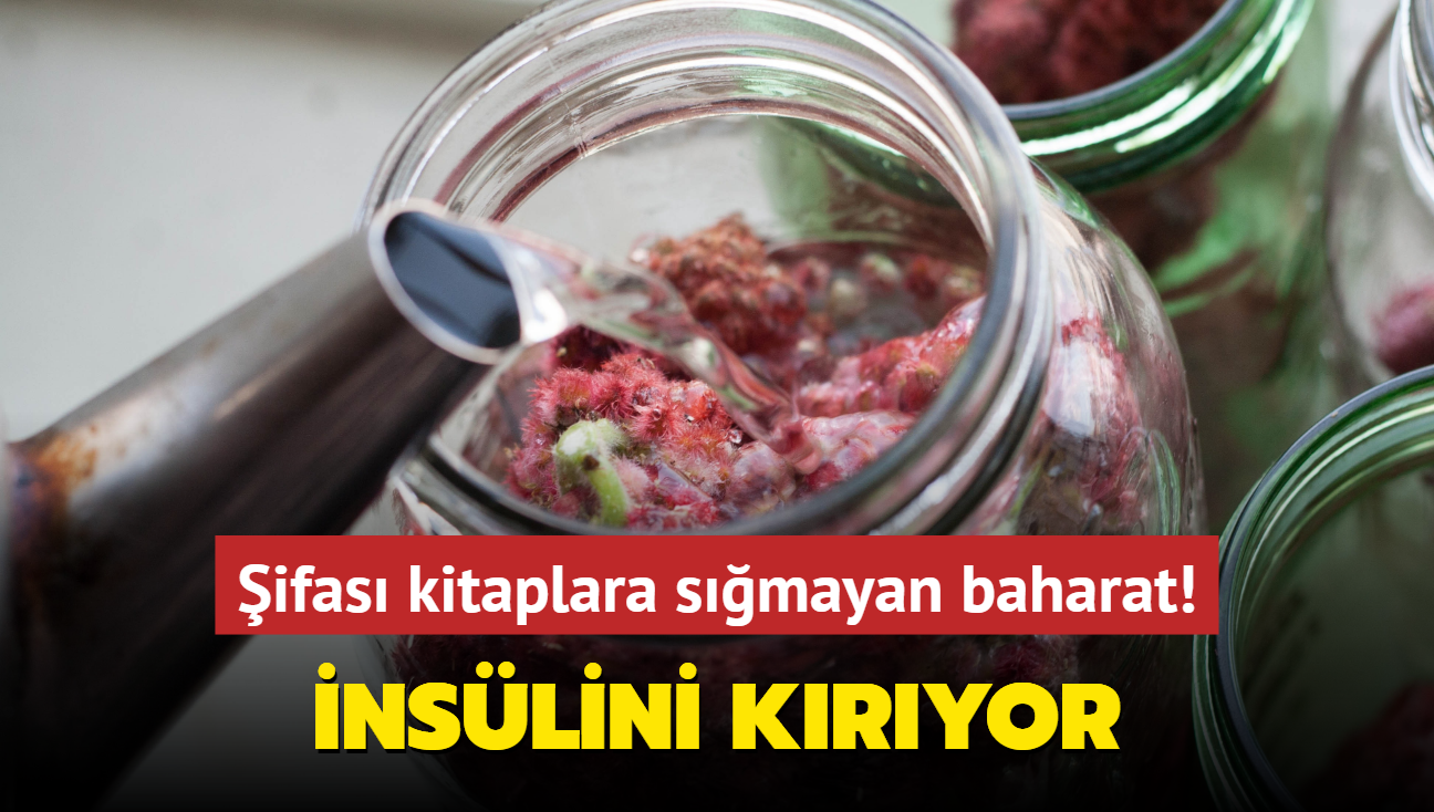 Tohumlu baharat inslinin direncini kryor! ifalar kitaplara smyor, Canan Karatay'dan bni Sina'ya...