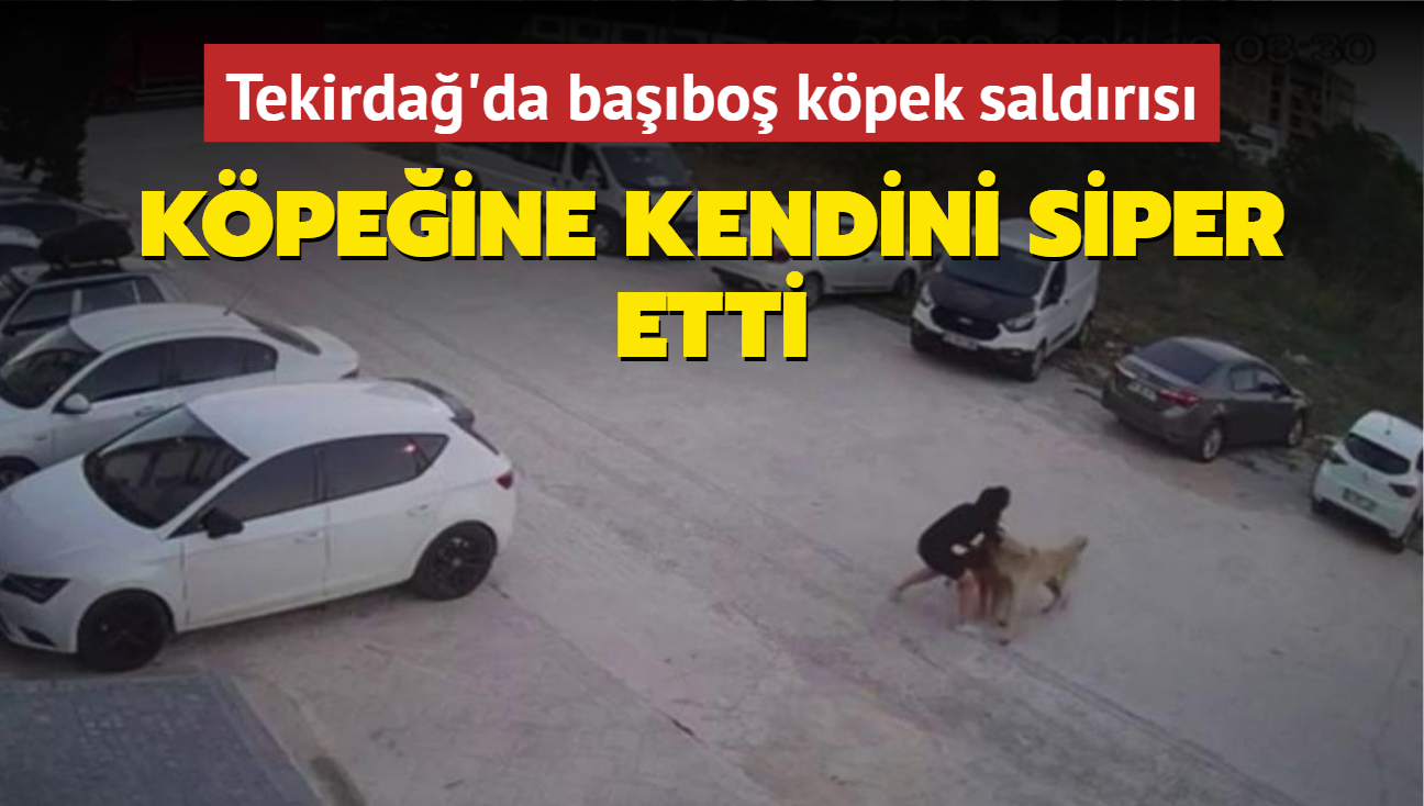 Babo kpek saldrs: Kpeine kendini siper etti