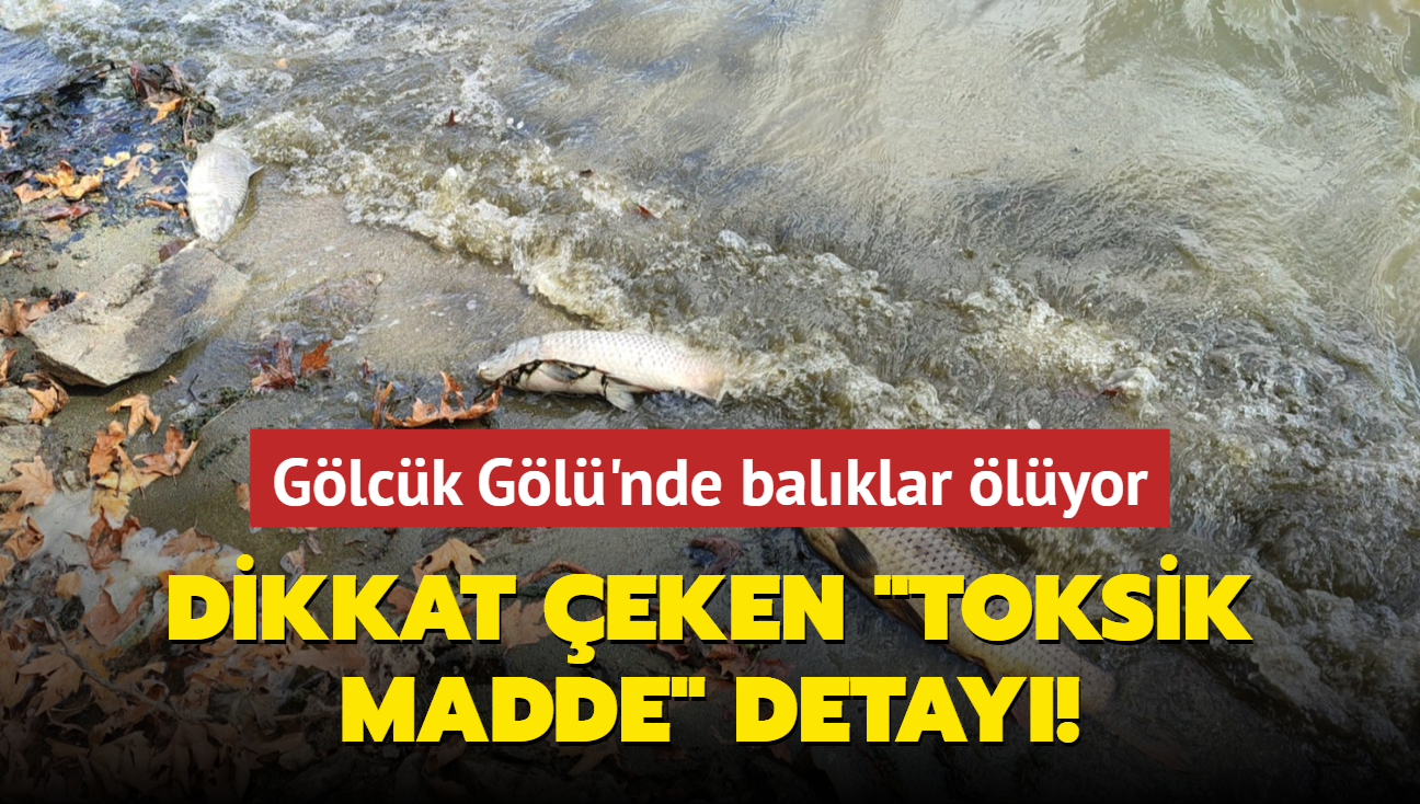 Glck Gl'nde balklar lyor... Raporda 'toksik madde' detay!