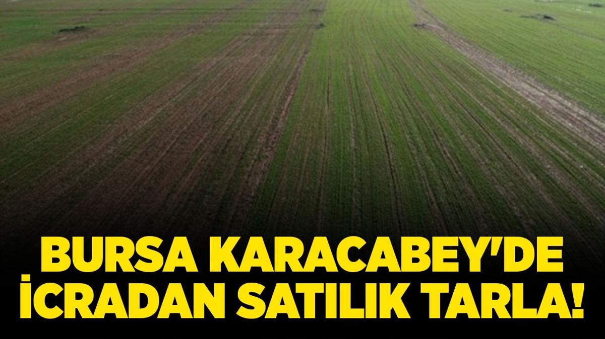 Bursa Karacabey'de icradan satlk tarla!