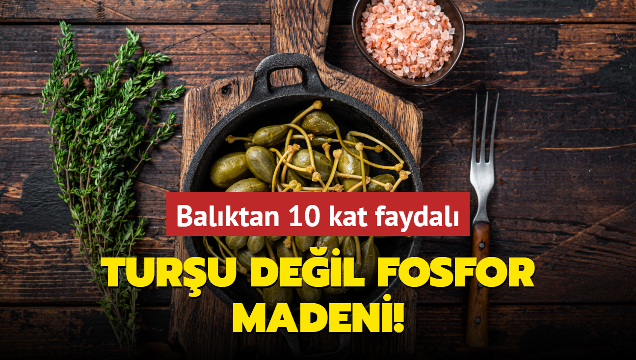 Turu deil fosfor madeni! Balktan 10 kat faydal, hafzay coturuyor, mezesi sofra sslyor