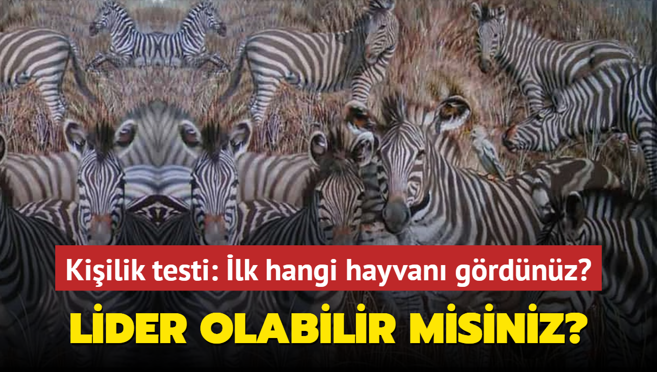 Kiilik testi: Lider olabilir misiniz" Resimde ilk grdnz hayvan karakterinizi zetliyor