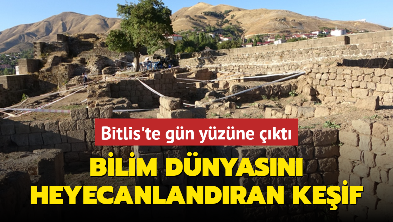 Bilim dnyasn heyecanlandran keif... Bitlis'te gn yzne kt