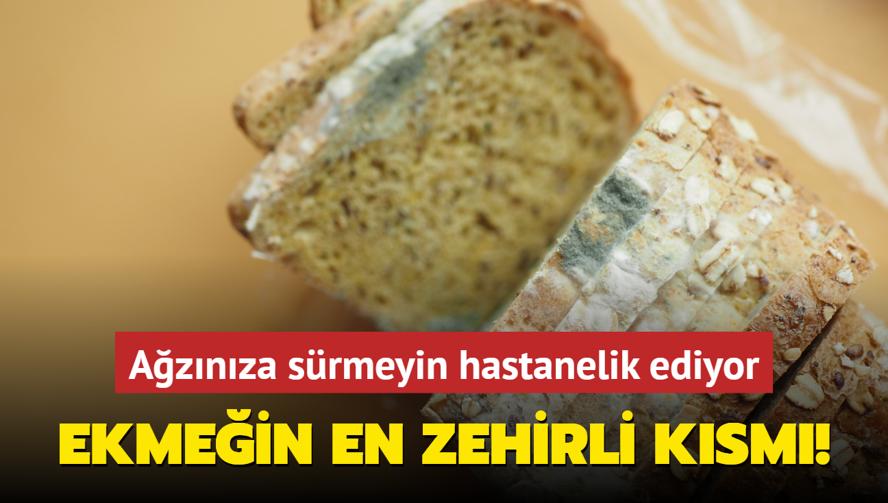 Ekmein en zehirli ksm! Aznza srmeyin hastanelik ediyor: Frnclar da bilmiyor