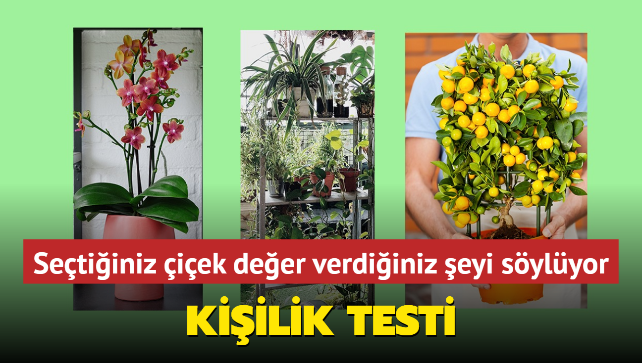 Kiilik testi! Setiiniz iek hayatta en ok deer verdiiniz eyi sylyor