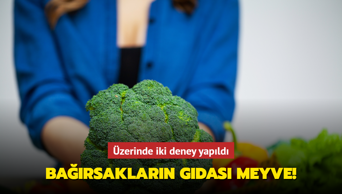 Barsaklarn gdas meyve! zerinde iki deney yapld: Kabzln anahtar