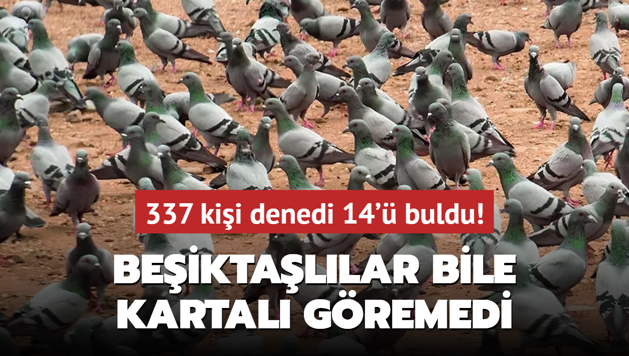 Zeka testi: 337 kii denedi, 10 saniyede 14' buldu! Beiktallar bile kartal gremedi