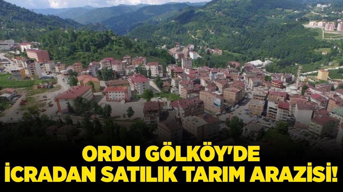 Ordu Glky'de icradan satlk tarm arazisi!