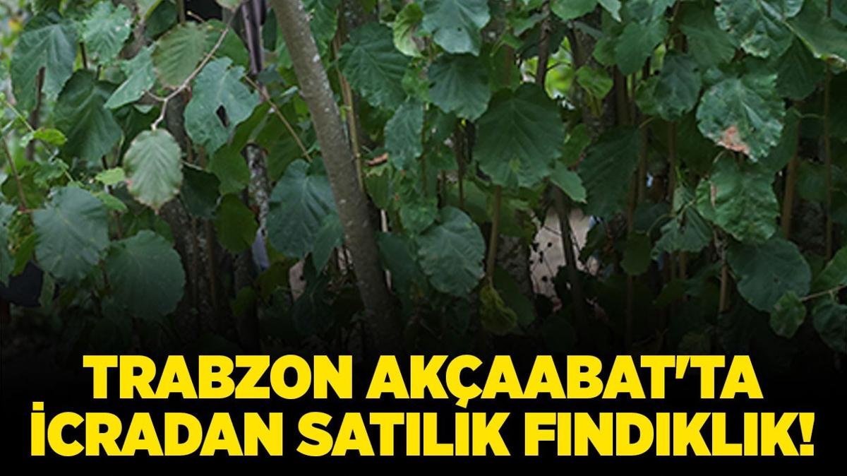 Trabzon Akaabat'ta icradan satlk fndklk!