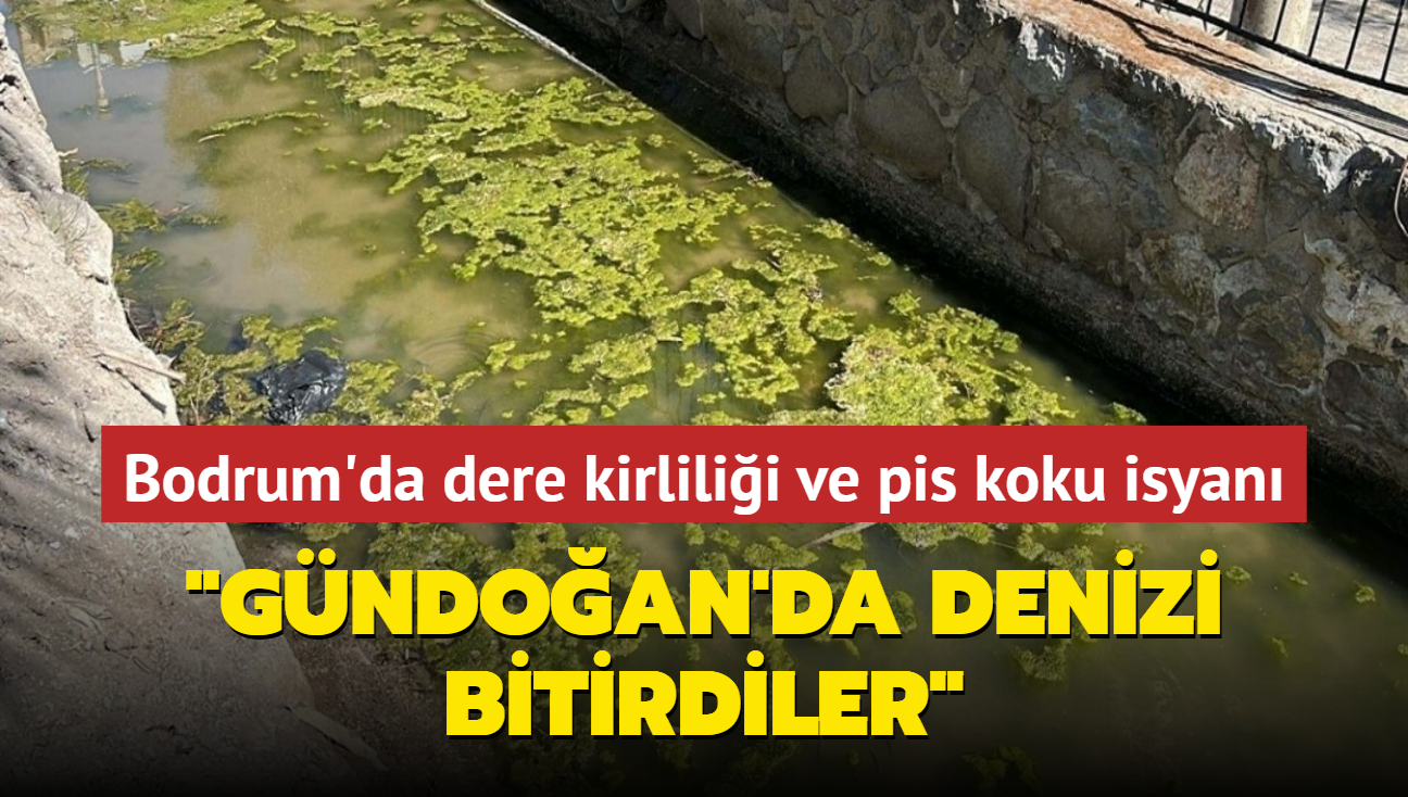 Bodrum'da dere kirlilii ve pis koku isyan... "Gndoan'da denizi bitirdiler"